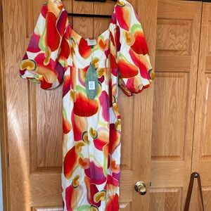 Beautiful farm rio dress, all cotton, never worn